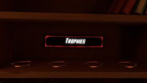 Trophies shelf empty.jpg